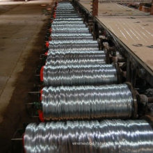 0.1mm-6mm Electric Galvanized Iron Wire Fabricant